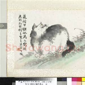 清陆恢动植物逸品册 册 狸奴|1幅|9.95 MB|高清下载