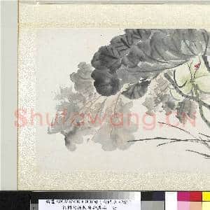 清陆恢动植物逸品册 册 荷花|1幅|10.21 MB|高清下载