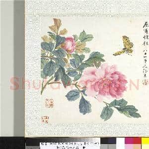 清张熊花卉草虫册 册 (一)|2幅|21.32 MB|高清下载