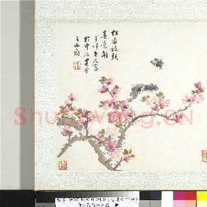清张熊花卉草虫册 册 (二)|1幅|10.27 MB|高清下载