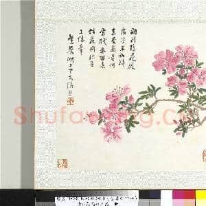 清张熊花卉草虫册 册 (三）|1幅|10.48 MB|高清下载