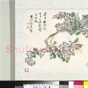 清张熊花卉草虫册 册 (七)|1幅|10.66 MB|高清下载