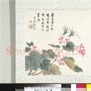 清张熊花卉草虫册 册 (八）|1幅|10.59 MB|高清下载