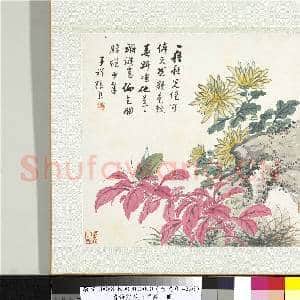 清张熊花卉草虫册 册 (十）|1幅|10.79 MB|高清下载