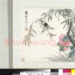 清张熊花卉草虫册 册 (十一）|1幅|10.73 MB|高清下载