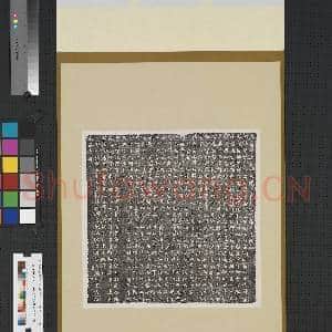 唐故上柱国咸阳府长上果毅杨智积墓志铭墨拓本 轴|1幅|8.66 MB|高清下载