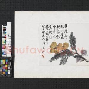 清倪田蔬果 单片 枇杷|1幅|8.74 MB|高清下载