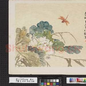 清张熊荷花蜻蜓 册页|2幅|17.23 MB|高清下载