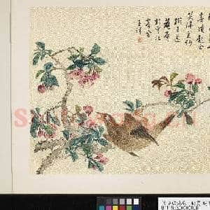 清张熊桃花 册页|2幅|21.54 MB|高清下载