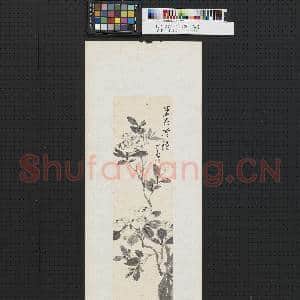 民国溥儒紫花冷艳 单片|1幅|7.64 MB|高清下载
