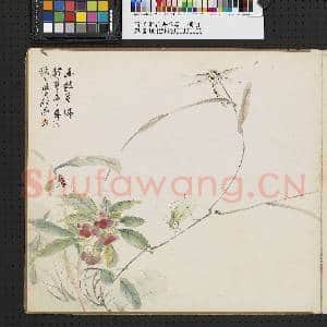 清王素花卉草虫 册页|2幅|14.92 MB|高清下载
