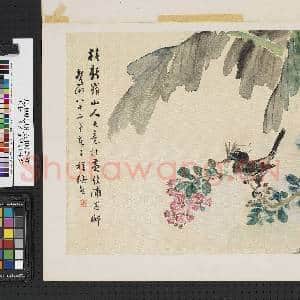 清张熊芭蕉翠鸟 单片|2幅|18.71 MB|高清下载