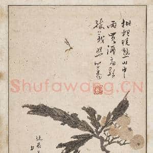 民国溥心畬枇杷蜜蜂图|2幅|23.65 MB|高清下载