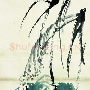 近现代 齐白石国画 鱼虾册页-73 超高清图片网盘下载