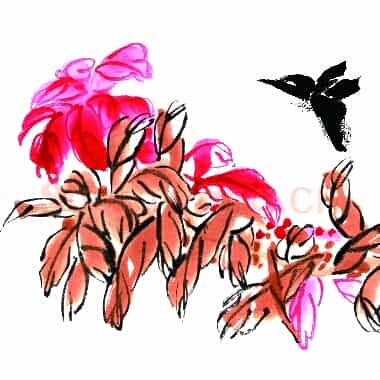 近现代 齐白石国画 花 超高清图片网盘下载