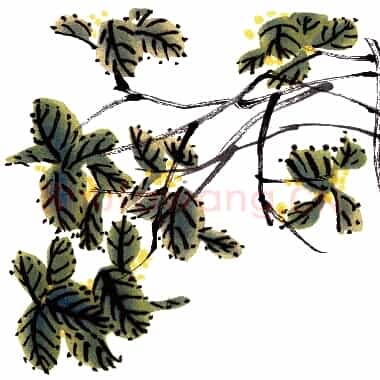 近现代齐白石国画《秋香.TIF》高清大图资源下载