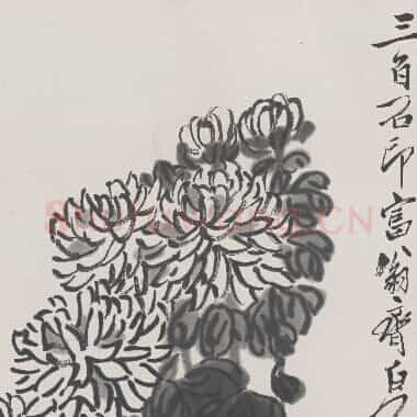 近现代 齐白石国画 菊花-01 超高清图片网盘下载