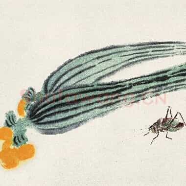 近现代齐白石国画《丝瓜蝈蝈.TIF》高清大图资源下载