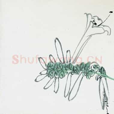 近现代齐白石国画《玉簪花.TIF》高清大图资源下载