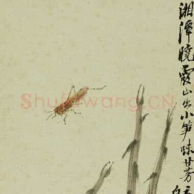 近现代齐白石国画《竹笋蚂蚱.TIF》高清大图资源下载