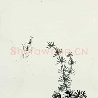 近现代齐白石《国画作品精选-369.TIF》高清大图资源下载