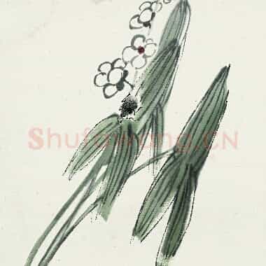 近现代 齐白石 国画作品精选-389 超高清图片网盘下载