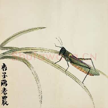 近现代 齐白石 国画作品精选-558 超高清图片网盘下载