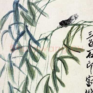 近现代 齐白石 国画作品精选-568 超高清图片网盘下载