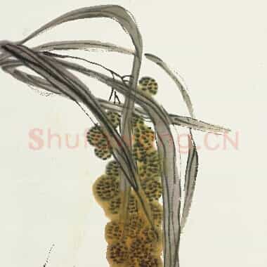 近现代齐白石《国画作品精选-634.TIF》高清大图资源下载