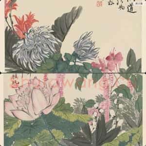 清代 赵之谦 花卉册