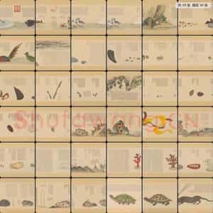 清代 佚名 画海错图册第三册