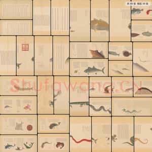 清代 佚名 画海错图册第一册