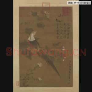 北宋代 赵佶 芙蓉锦鸡图轴