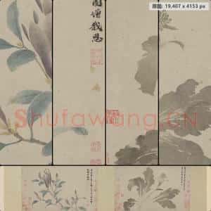 明代 沈周 辛夷墨菜图卷