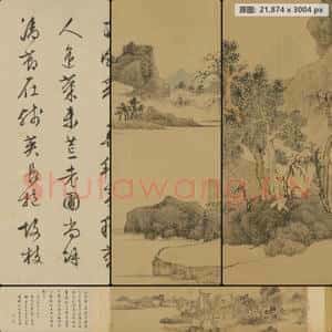 明代 文徵明 存菊图卷