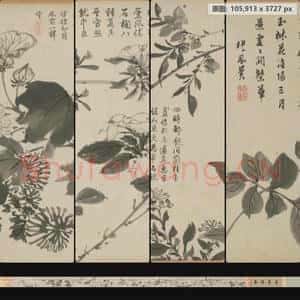 明代 周之冕 百花图卷