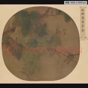 南宋 林椿 葡萄草虫图页