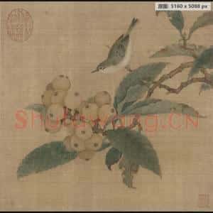 南宋 林椿 枇杷山鸟图页