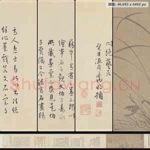 南宋 赵孟坚 墨兰图卷