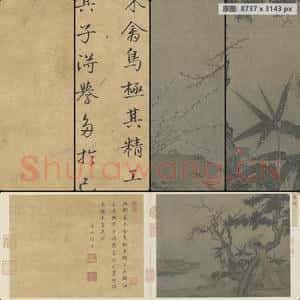 南宋 佚名 红梅孔雀图页