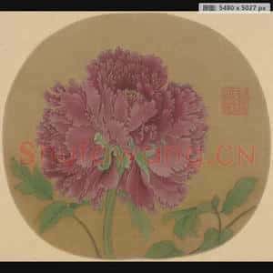 南宋 佚名 牡丹图页