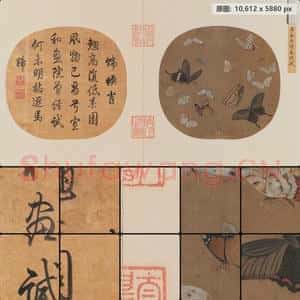南宋 佚名 晴春蝶戏图页