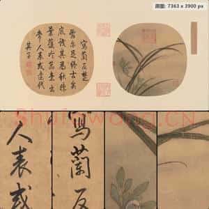 南宋 佚名 秋兰绽蕊图页