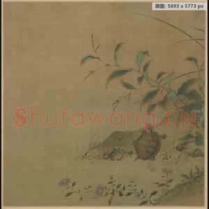 南宋 佚名 蓼龟图页
