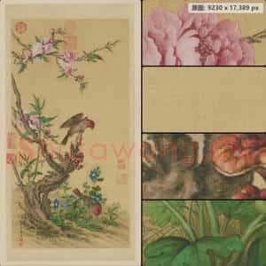 清代 郎世宁 花鸟图轴