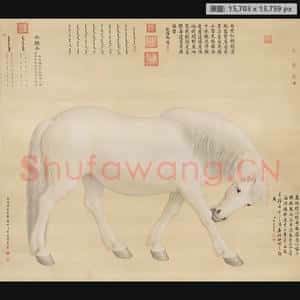 清代 郎世宁 英骥子轴