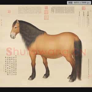 清代 郎世宁 自在驈轴