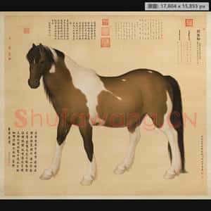 清代 郎世宁 阚虎骝轴
