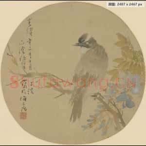 清代 任颐 紫藤栖禽团扇