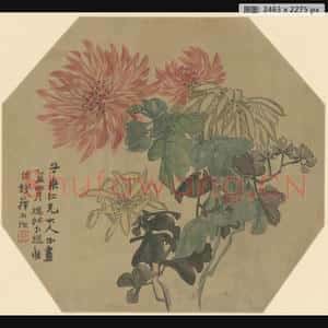 清代 赵之谦 菊花纨扇